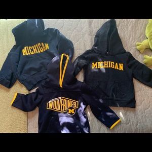 Michigan Toddler Hoodies